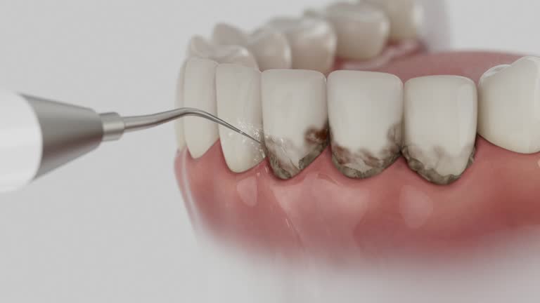 Reliable Dental contractor in Barron, WI by Dentist Open Now